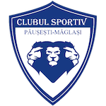 acs-pausesti-maglasi