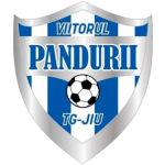 viitorul-pandurii-targu-jiu-u19