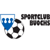 sc-buochs