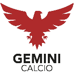usd-gemini-calcio