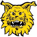 ilves-u20