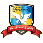 aylesbury-vale-dynamos-fc